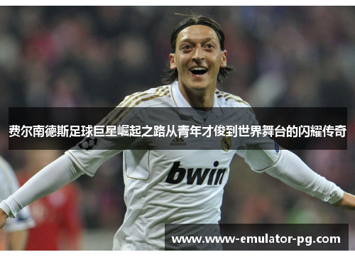 费尔南德斯足球巨星崛起之路从青年才俊到世界舞台的闪耀传奇