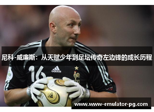 尼科-威廉斯：从天赋少年到足坛传奇左边锋的成长历程