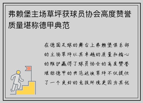 弗赖堡主场草坪获球员协会高度赞誉质量堪称德甲典范