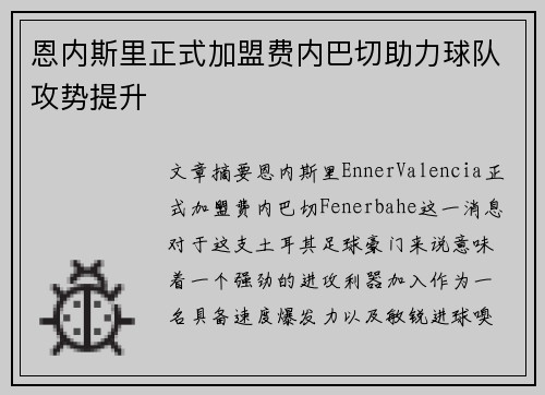 恩内斯里正式加盟费内巴切助力球队攻势提升